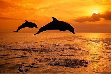 体素沙盒《方块方舟》冬季特卖史低29元，圣诞换装大战雪魔